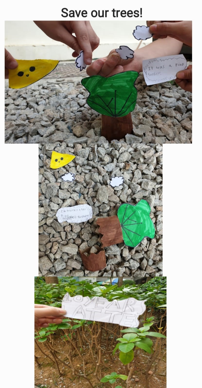 Environmental Awareness_2.jpg